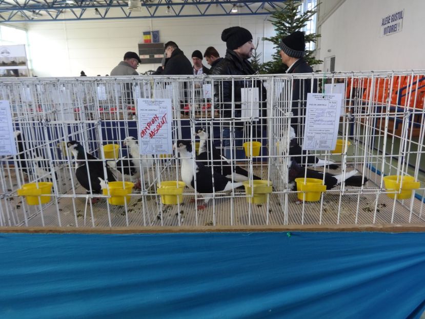  - Expo BRASOV - Tara Barsei 2018