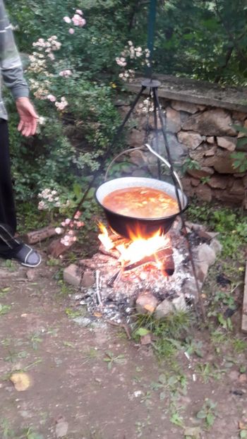  - Concediu 2017 Cheile Nerei