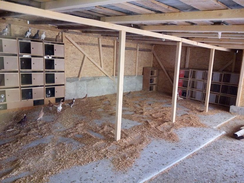  - Contact-telefon Targoviste