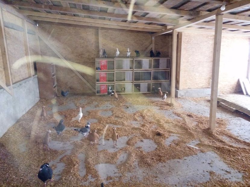  - Contact-telefon Targoviste