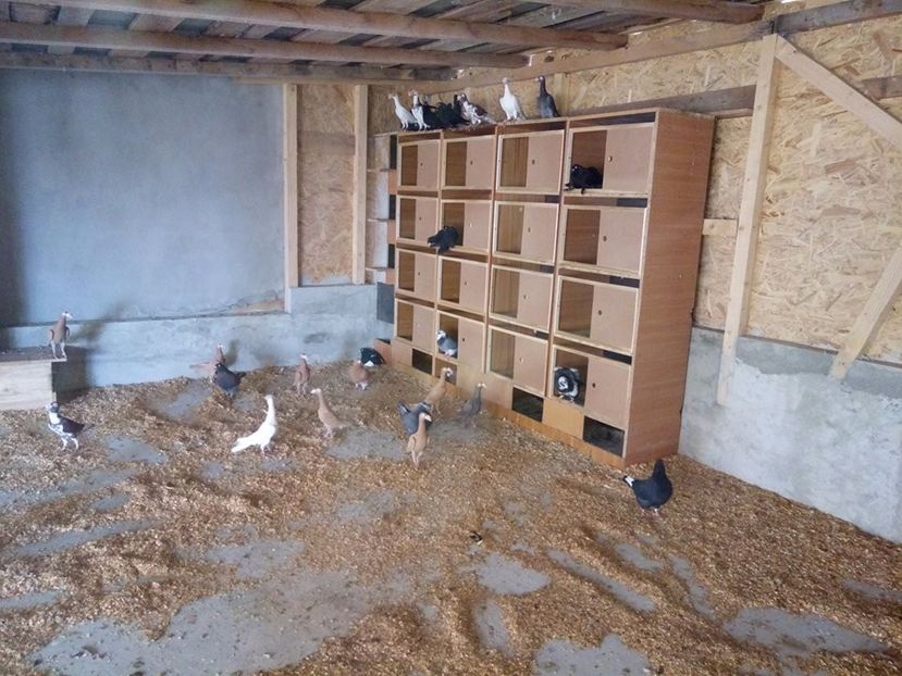  - Contact-telefon Targoviste