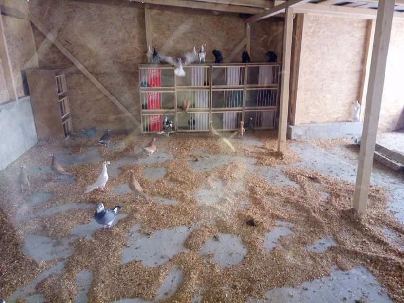  - Contact-telefon Targoviste