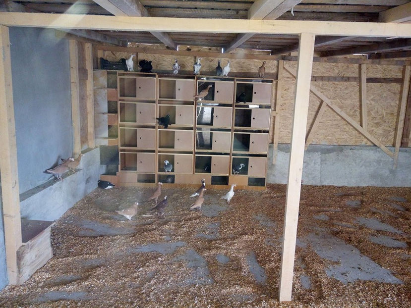  - Contact 0764396733