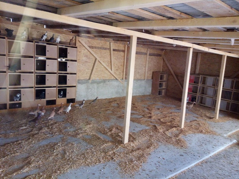  - Contact 0764396733