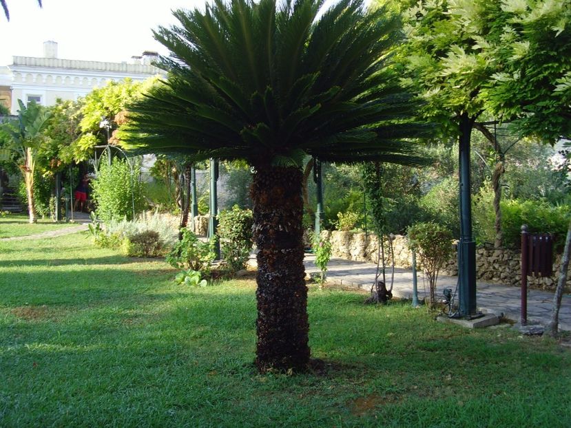 SNV37450 - Concediu 2012 insula Corfu Grecia