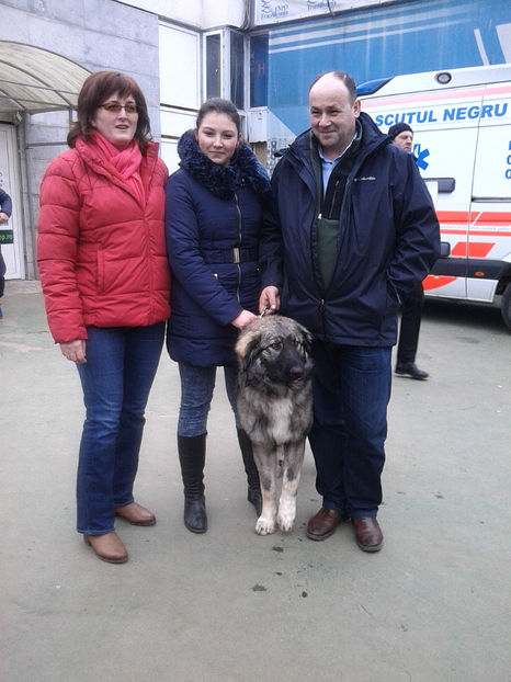  - Napoca dog show CACIBclasa puppy