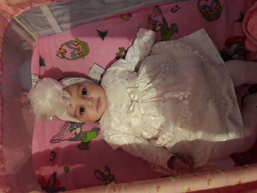 received_1596422047059611 - bogdi
