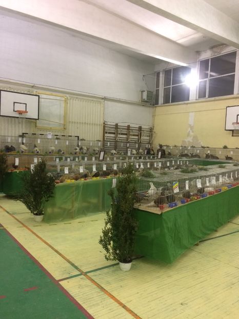 6D500A5D-FD50-455E-9D0D-F1A2FEE8F0FD - 2018 Expoziția anuală de păsări și animale de rasa TURDA