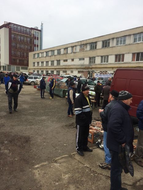 475FFBFB-931E-4233-840B-934CD1C72F24 - 2018 Expoziția anuală de păsări și animale de rasa TURDA