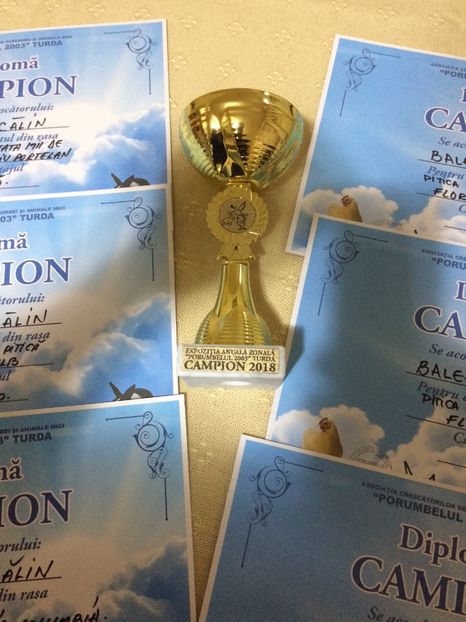 CF451428-75BE-4B50-AA85-DD722CE8151A - 2018 Rezultate obținute la expoziția anuală TURDA