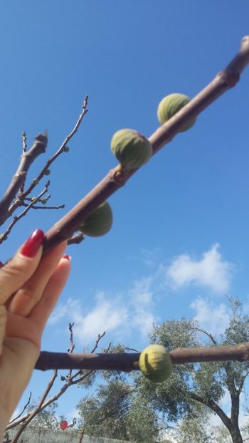  - Iarna prin alte țări