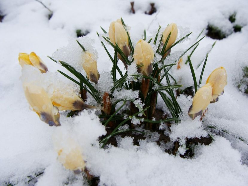 27628739_2009951965949889_1011491773848202280_o - Ianuarie 2018 - Februarie 2018