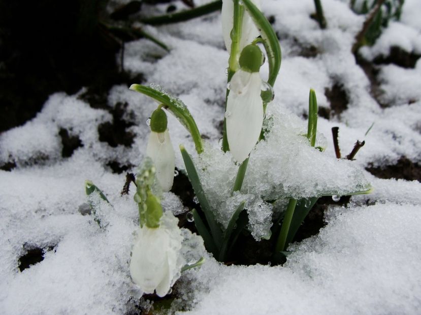27797555_2009952285949857_7437233904123723392_o - Ianuarie 2018 - Februarie 2018