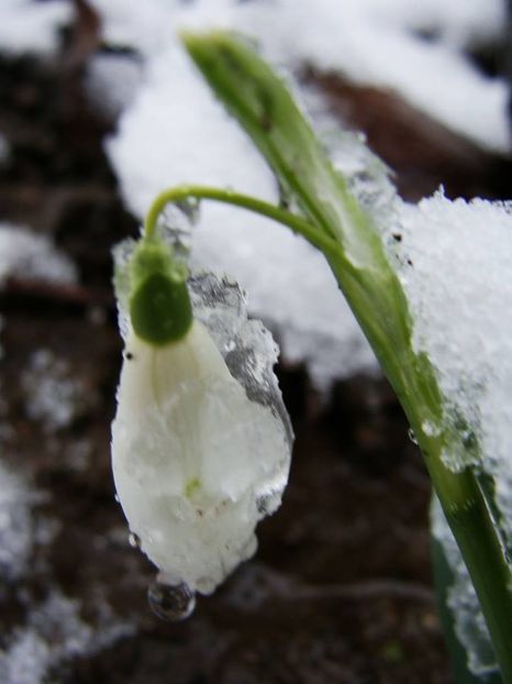  - Ianuarie 2018 - Februarie 2018
