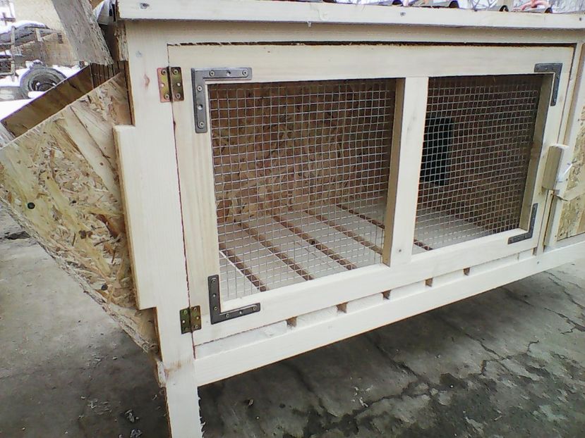 cusca cu cuib de fatare 250lei buc. - CUSTI PENTRU IEPURI DE VANZARE