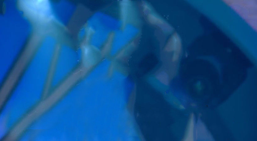  - 01 background - 01