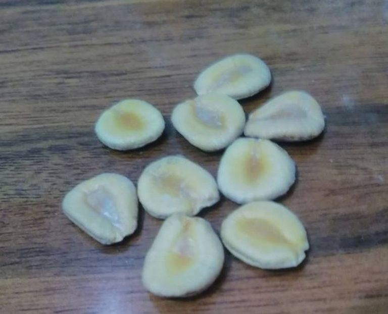 Siraitia Grosvenurii rare seeds for planting - ACASA-Seminte 2018