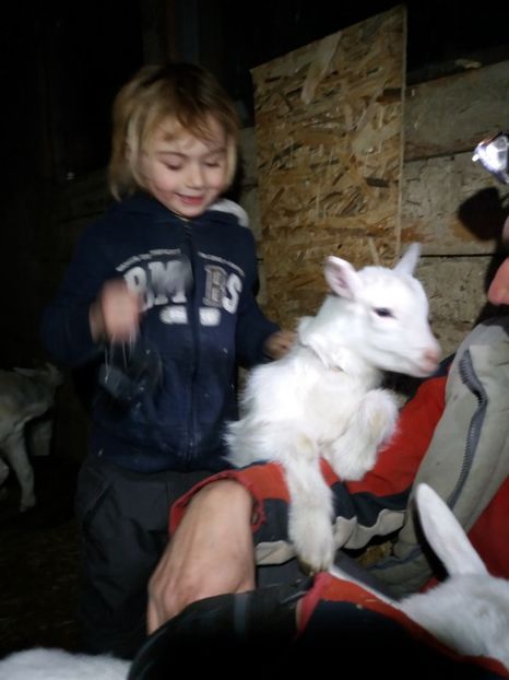 Calareala de seara - Fatari 2018