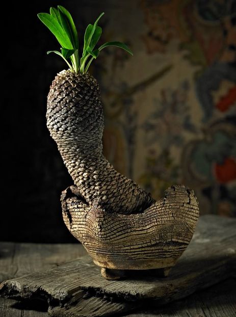 Mark Follon - Vase - aranjamente - accesorii