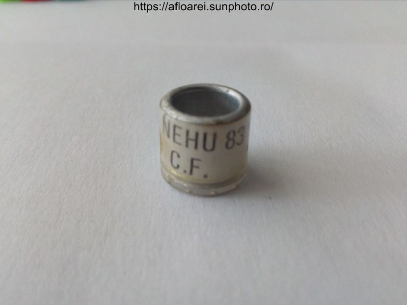 NEHU 83 CF - NEHU North East Homing Union