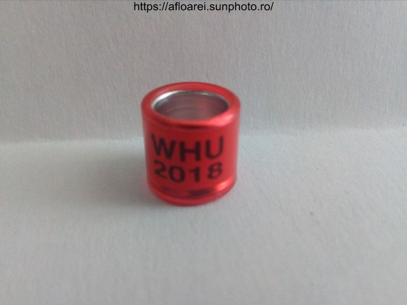 WHU 2018 - WHU Welsh Homing Union