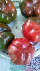  - CONSERVE DIN GRADINILE ROSENTHAL