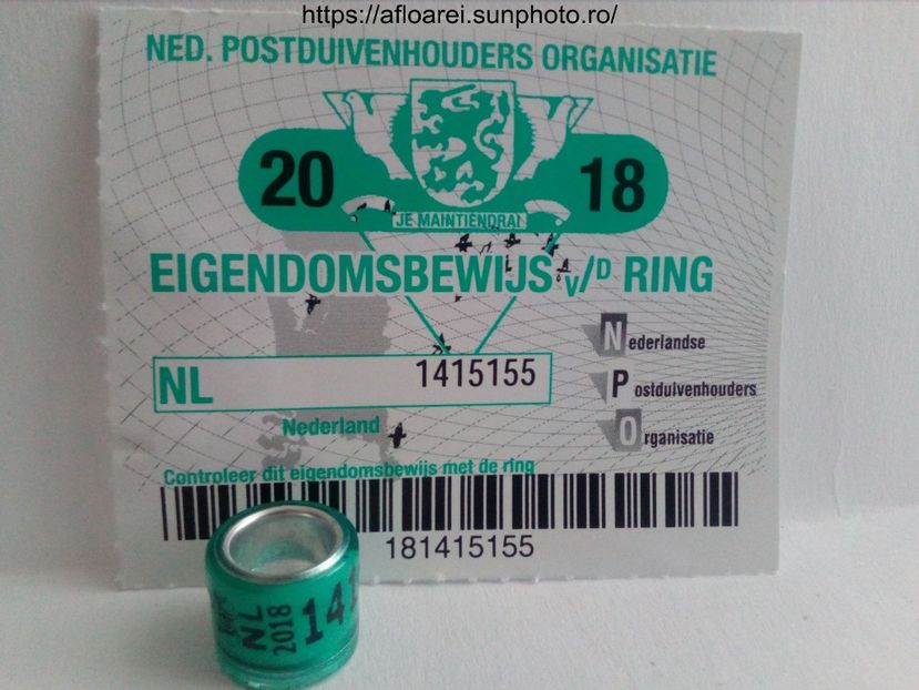 NL 2018 - OLANDA-NL