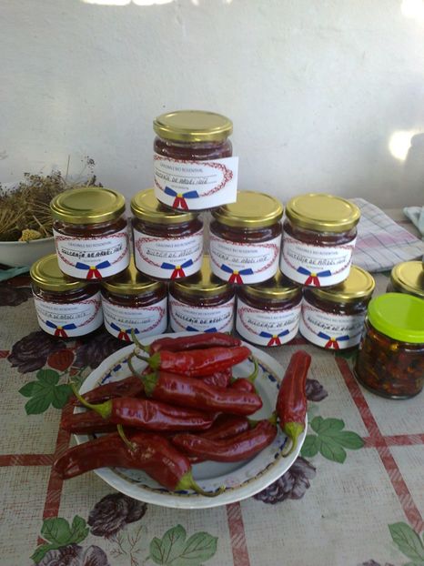  - CONSERVE DIN GRADINILE ROSENTHAL