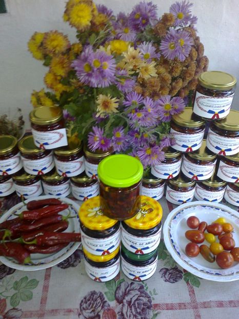  - CONSERVE DIN GRADINILE ROSENTHAL