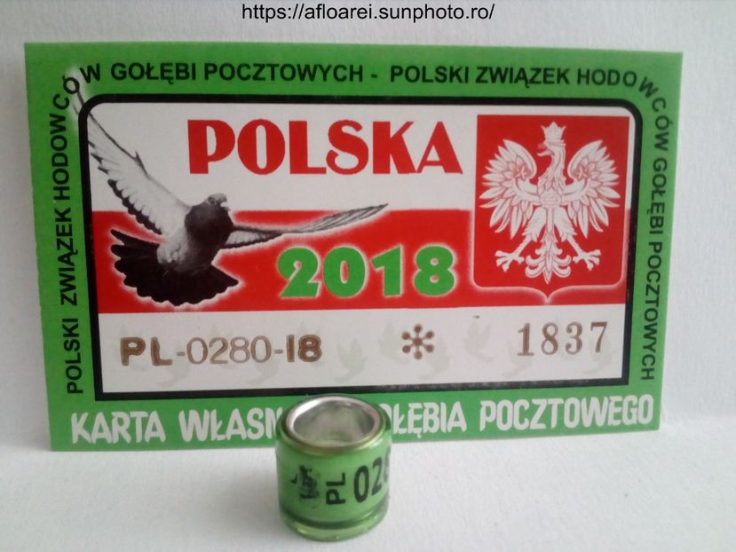 pl 18 - POLONIA -PL