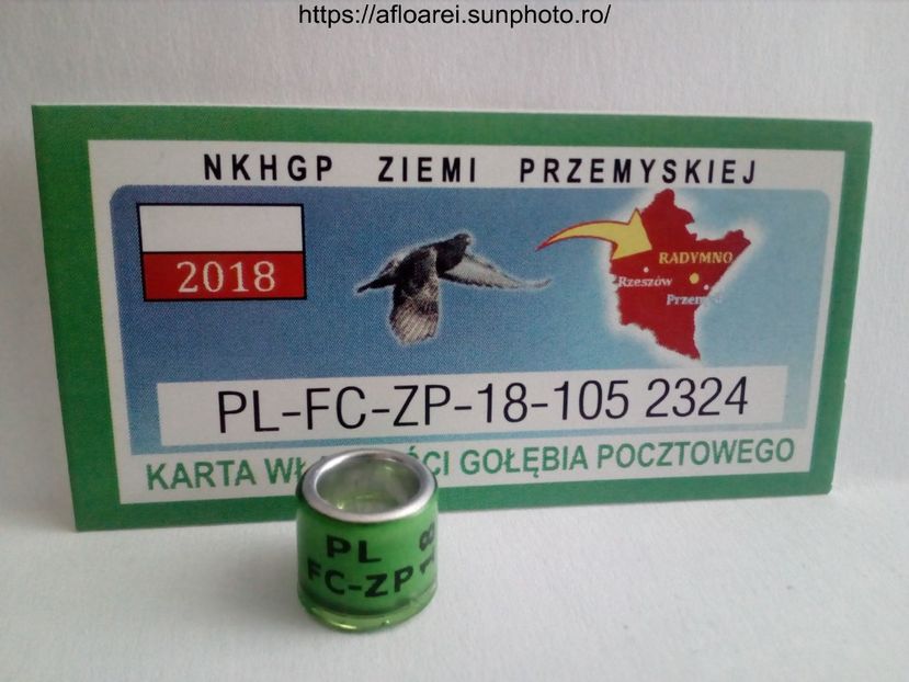 PL FC-ZP 18 - POLONIA- ZP
