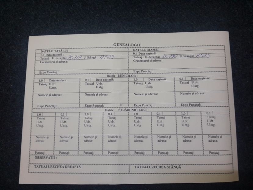Certificat de Origine verso - 4 --- U_D RO 8 ----- U_S 37181