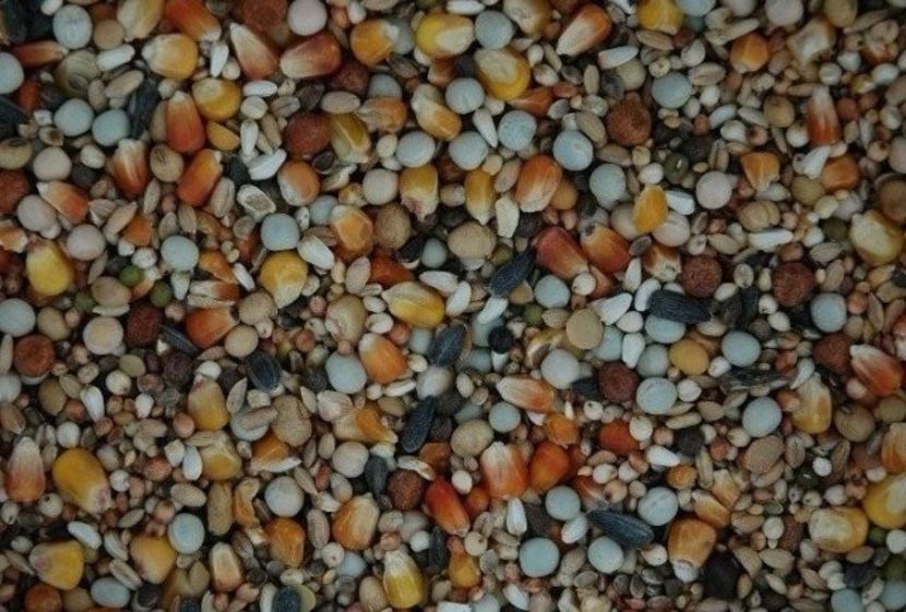 PREMIUM MARATHON - Matador Preturi