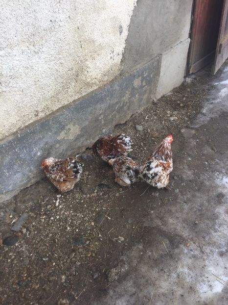 09B11D05-7EF3-410D-9807-9DB4E589ACF0 - Portelan