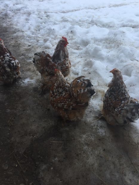 EBF8A226-9A2C-492F-A765-74D1D04B88DD - Portelan