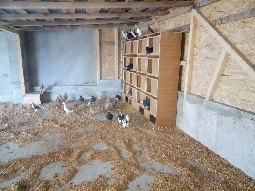  - Contact 0764396733