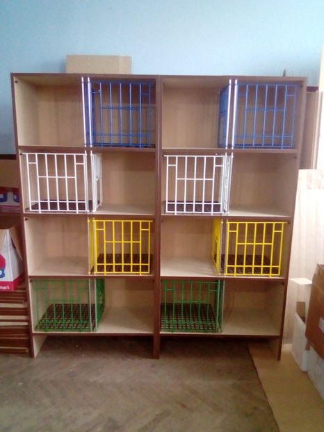  - RAFT VADUVIE - 250 lei