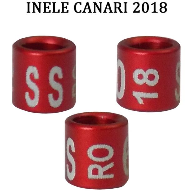 inele canari 2018 3 - Inele canari 2018