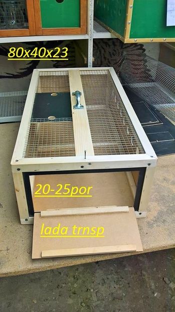 27858056_906766066171521_7343275961368575835_n (2) - PRODUSE PORUMBEI-0725840353