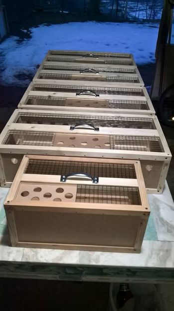 27971712_903858693128925_5517119673185090170_n (1) - PRODUSE PORUMBEI-0725840353