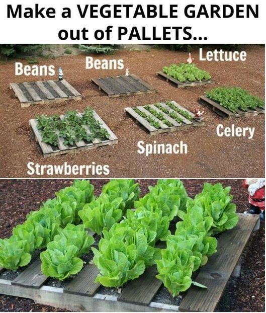  - Idei practice si amenajari 2