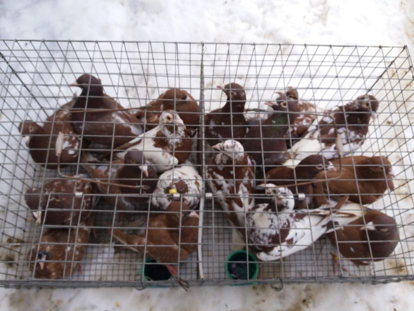  - Meulemans de vanzare