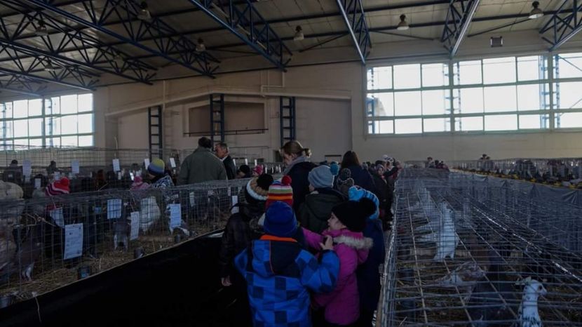  - 3 Expo 2018 Sf Gheorghe - Expozitia Tinutului Secuiesc