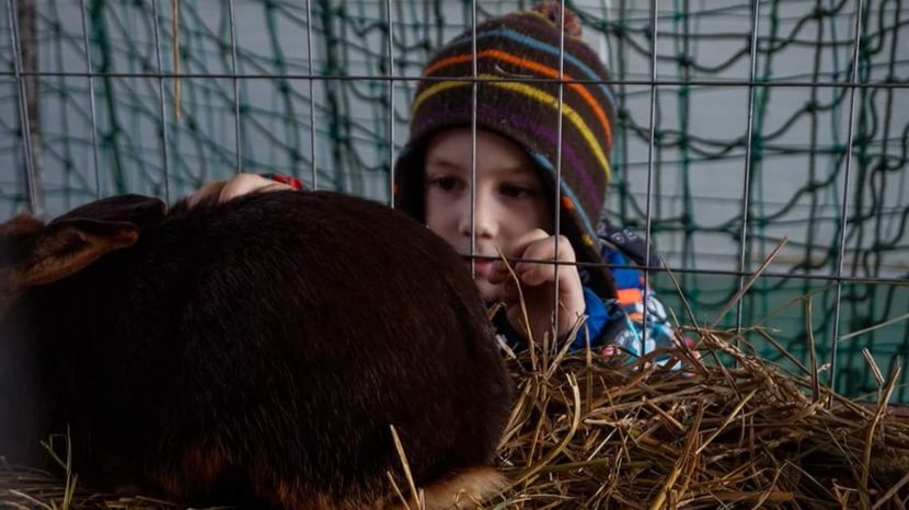  - 3 Expo 2018 Sf Gheorghe - Expozitia Tinutului Secuiesc