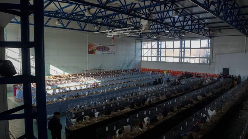  - 3 Expo 2018 Sf Gheorghe - Expozitia Tinutului Secuiesc