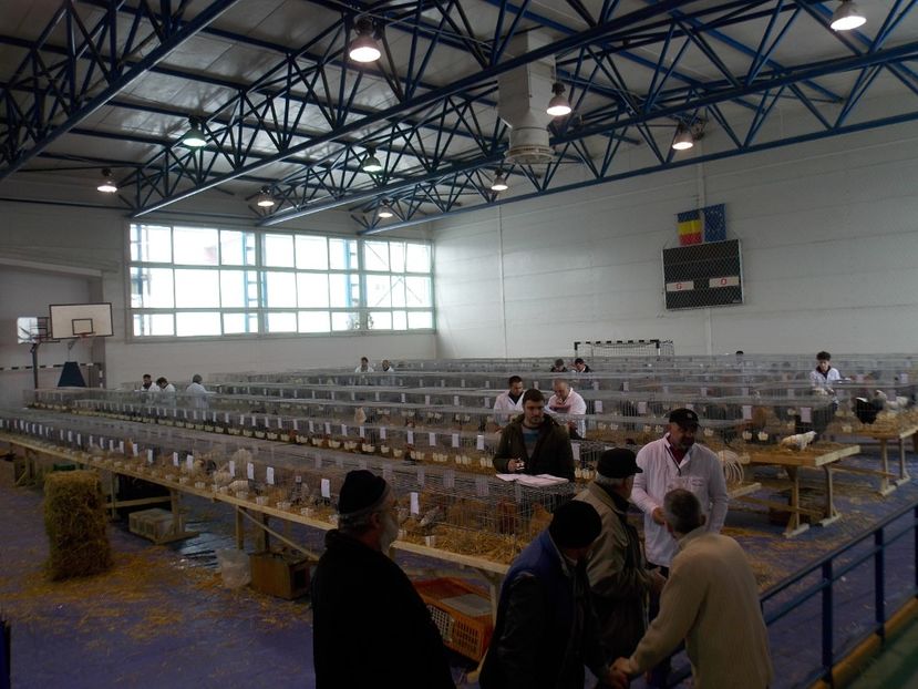  - EXPO-2018- HOBBY CENTRUM BRASOV