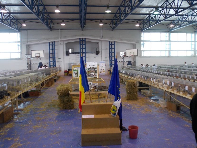  - EXPO-2018- HOBBY CENTRUM BRASOV