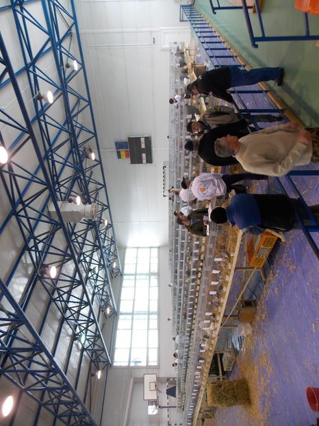  - EXPO-2018- HOBBY CENTRUM BRASOV