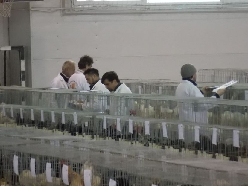  - EXPO-2018- HOBBY CENTRUM BRASOV