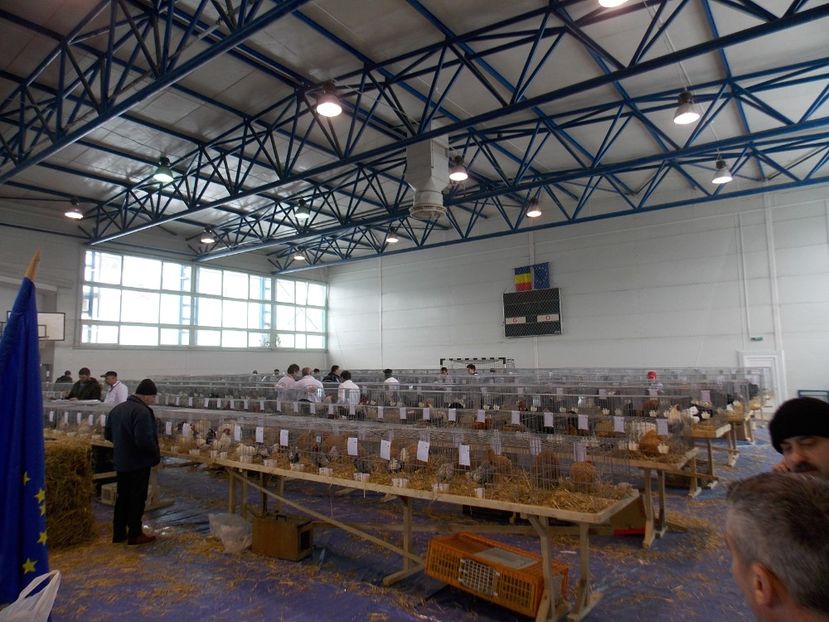  - EXPO-2018- HOBBY CENTRUM BRASOV